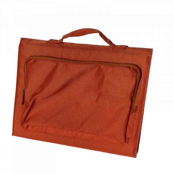 Мобильный солнечный модуль Sunways FSM-60М